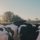 black and white cow on green grass field during daytime